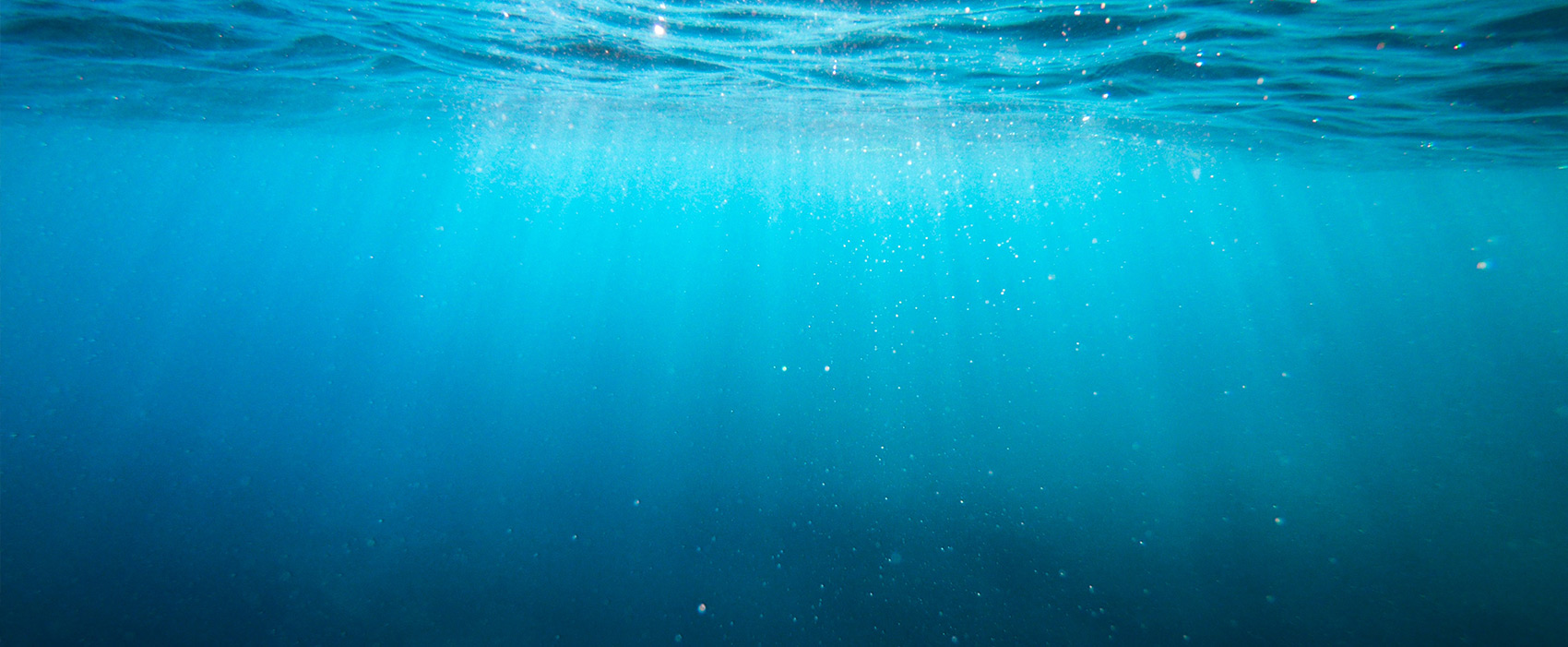 自然のままに育てる養殖