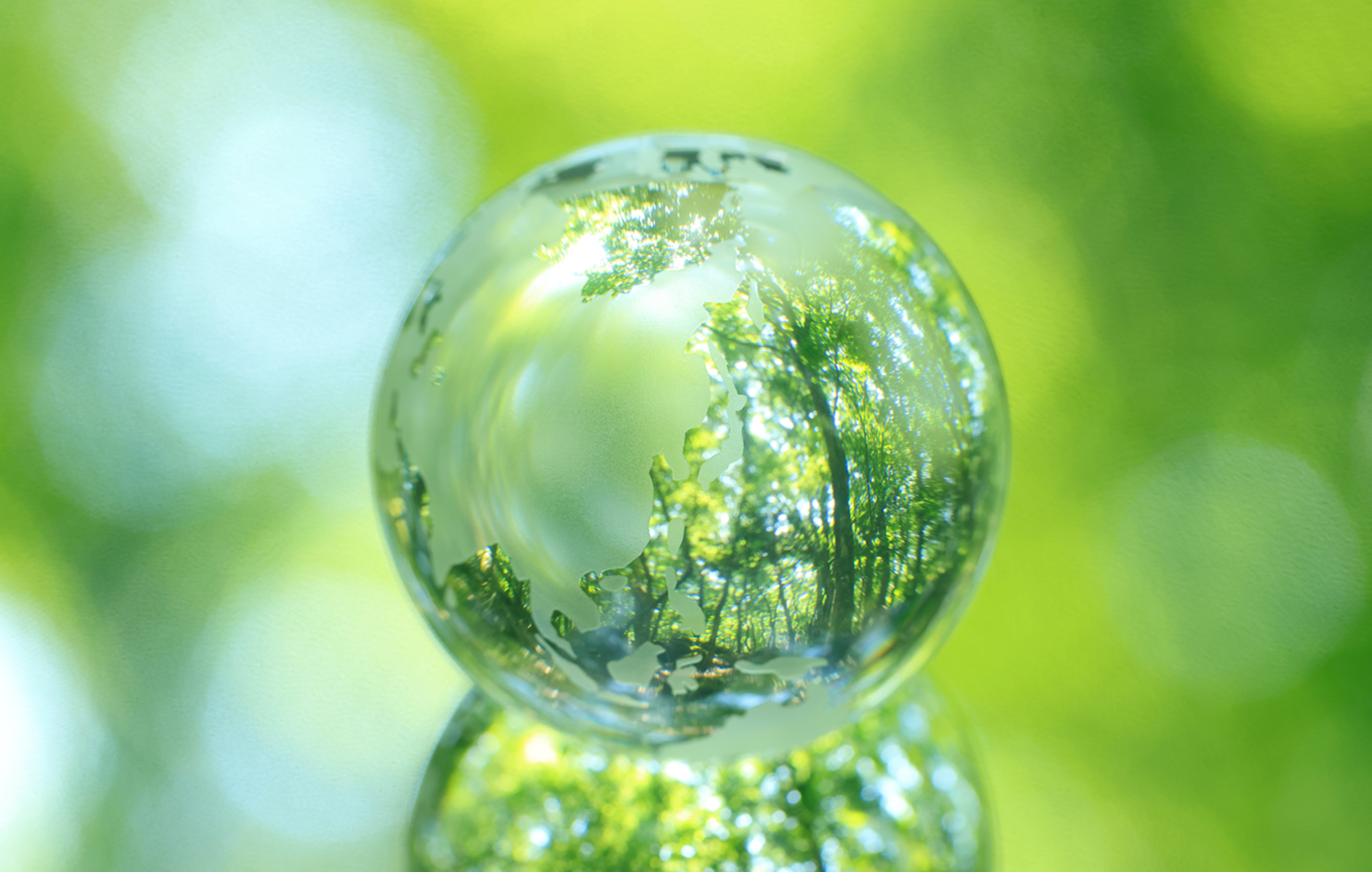 循環型モデルの養殖