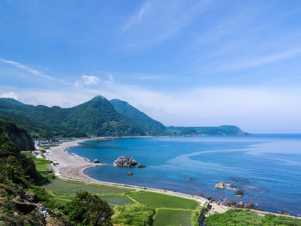 ウニ養殖システム