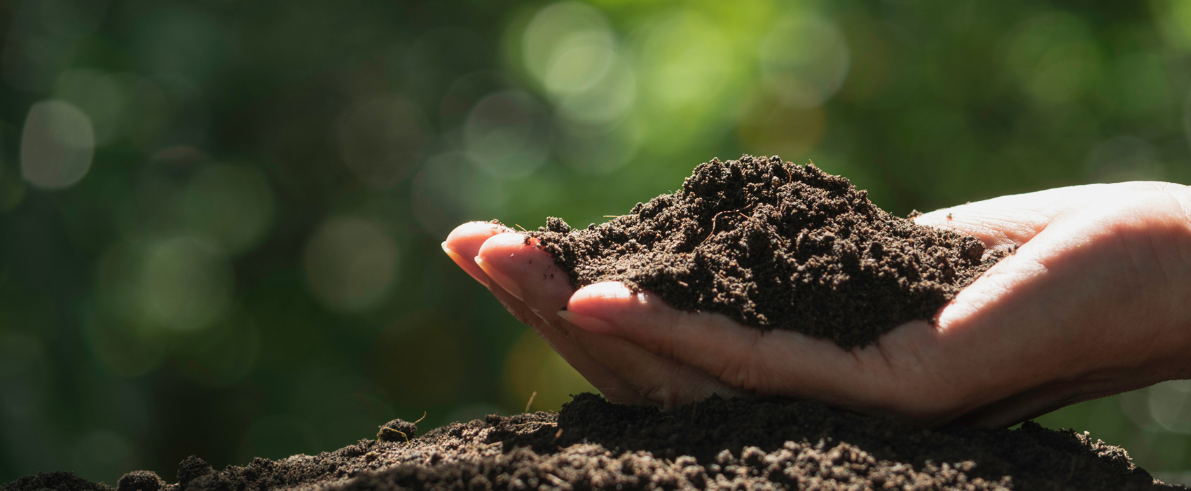 資源を有効活用した循環型モデルの養殖