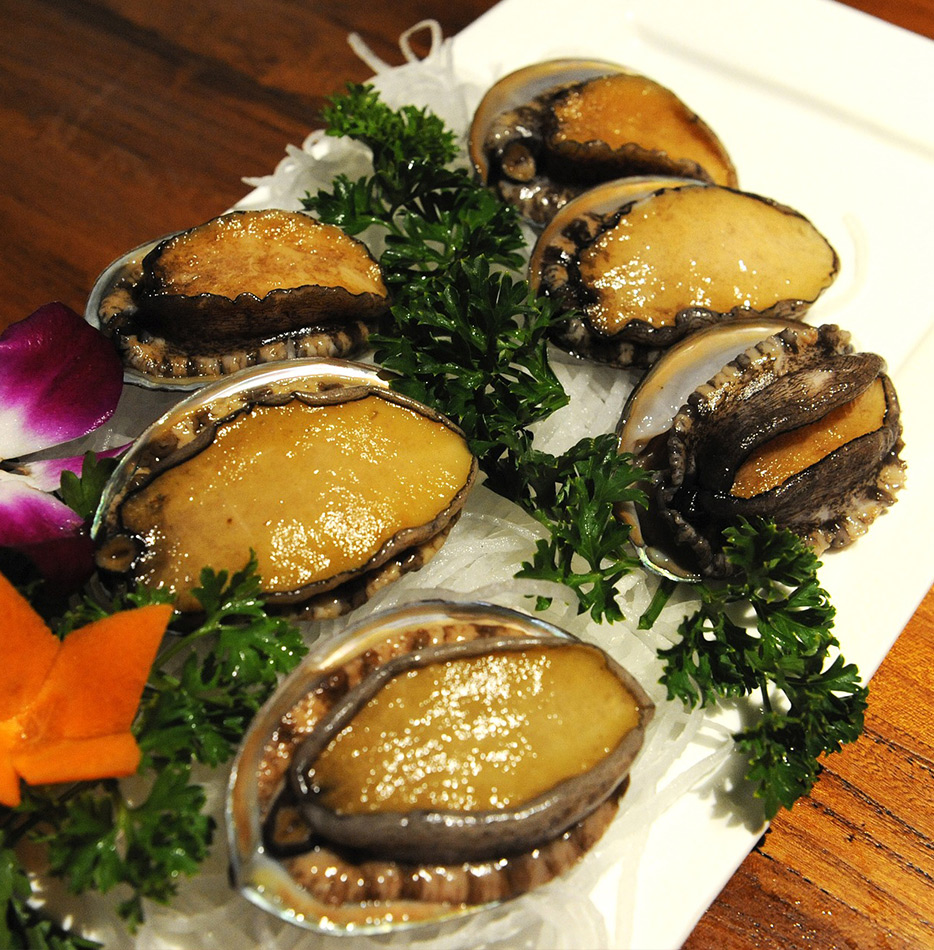 佐渡のエゾアワビ